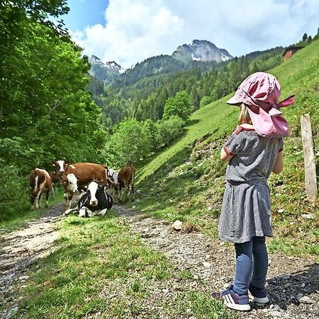 Bed And Breakfast - Die Aelplersuit Fuer Backpackers Im Berghuesli Linthal Экстерьер фото