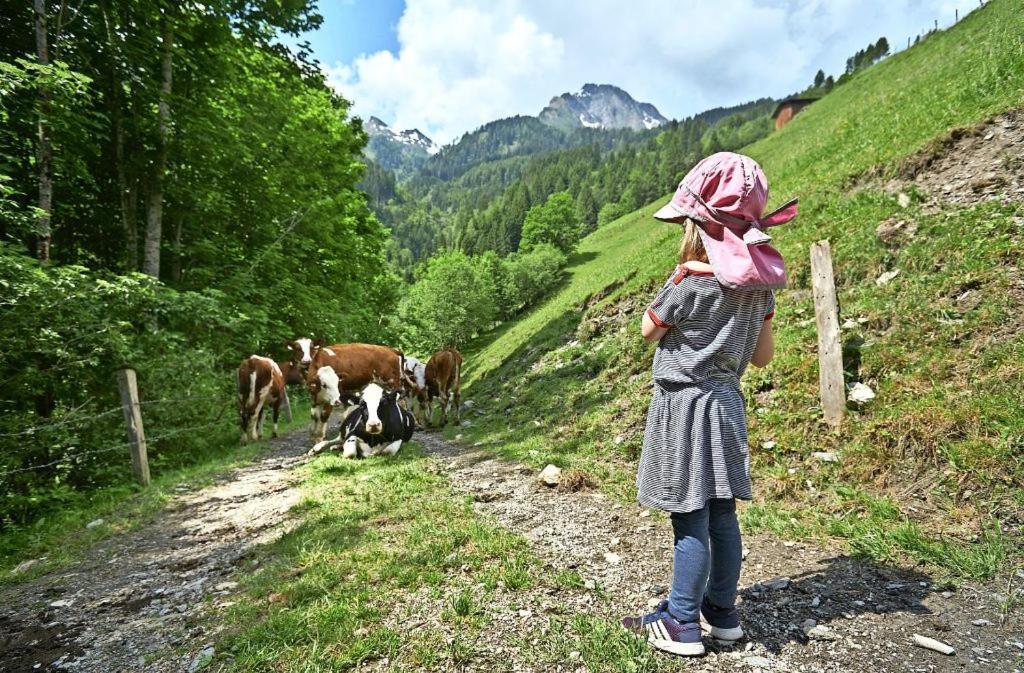Bed And Breakfast - Die Aelplersuit Fuer Backpackers Im Berghuesli Linthal Экстерьер фото