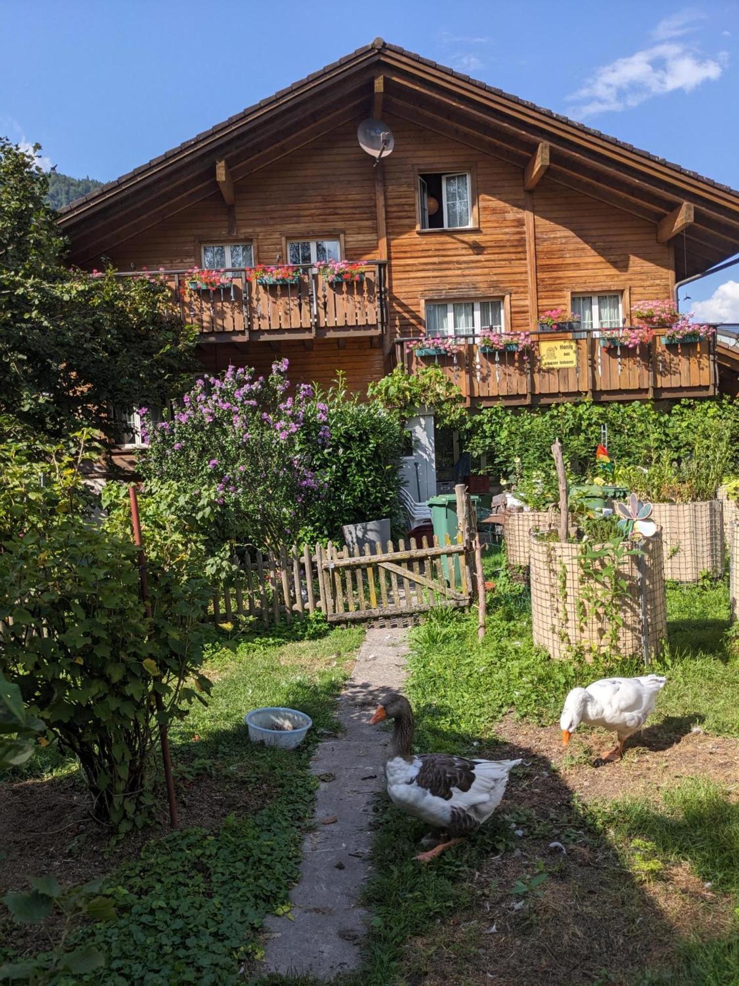 Bed And Breakfast - Die Aelplersuit Fuer Backpackers Im Berghuesli Linthal Экстерьер фото